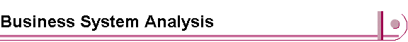 Business System Analysis