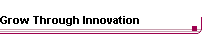 Grow Through Innovation