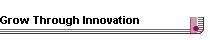 Grow Through Innovation